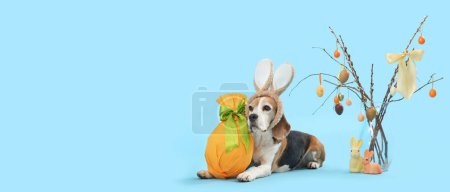 Cute Beagle dog with bunny ears, Easter gift and willow branches on light blue background with space for text
