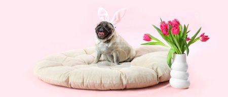 Cute pug dog with bunny ears and tulips on pink background. Easter celebration
