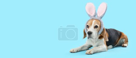 Cute Beagle dog wearing bunny ears on light blue background with space for text. Easter celebration