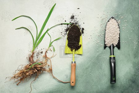 Téléchargez les photos : Pelles de jardinage avec engrais granulaire, sol et plante sur fond gris grunge - en image libre de droit