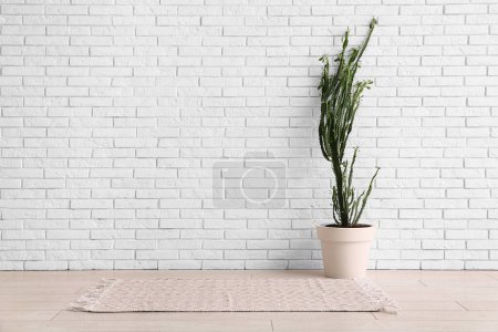 Foto de Gran cactus cerca de la pared de ladrillo blanco en la habitación - Imagen libre de derechos