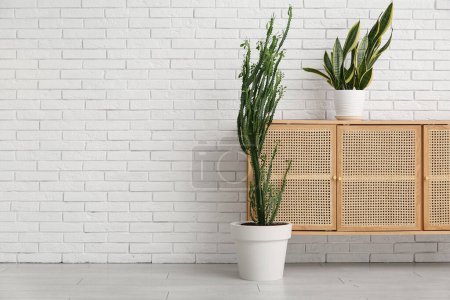 Foto de Gran cactus y planta de interior con cómoda cerca de la pared de ladrillo blanco en la habitación - Imagen libre de derechos