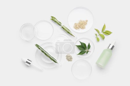 Photo for Petri dishes with plant leaves, cosmetic products and samples on white background - Royalty Free Image