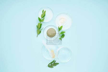 Photo for Petri dishes with samples, spatula and plant leaves on blue background - Royalty Free Image