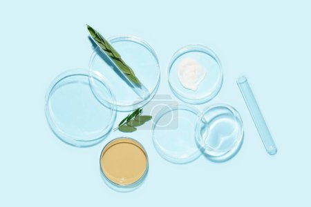 Photo for Petri dishes with sample, jar of cosmetic product and plant leaves on blue background - Royalty Free Image