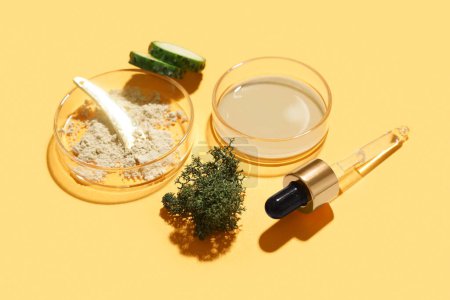 Photo for Petri dishes with samples, moss, cucumber and spatula on yellow background - Royalty Free Image