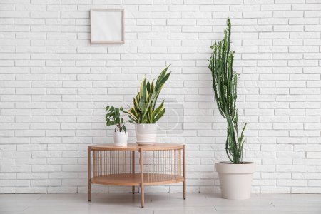Gran cactus con plantas de interior y mesa cerca de la pared de ladrillo blanco en la habitación
