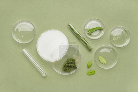 Photo for Petri dishes with herbs and test tubes on green background - Royalty Free Image