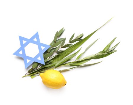 Foto de Cuatro especies (lulav, hadas, arava, etrog) como símbolos del festival Sukkot con papel David estrella sobre fondo blanco - Imagen libre de derechos