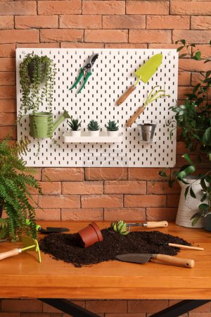 Téléchargez les photos : Pegboard avec outils de jardinage et plantes en atelier - en image libre de droit