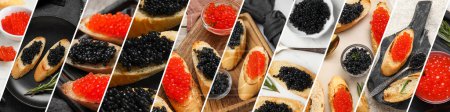Collage of tasty toasts with red and black caviar