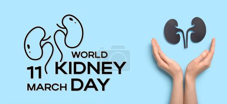 Female hands and paper kidneys on light blue background. Banner for World Kidney Day