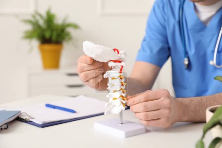 Médico masculino con modelo de columna vertebral en clínica, primer plano