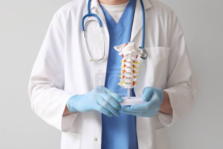 Téléchargez les photos : Homme médecin tenant modèle colonne vertébrale sur fond gris - en image libre de droit