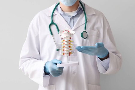 Foto de Médico varón mostrando modelo de columna vertebral sobre fondo gris - Imagen libre de derechos