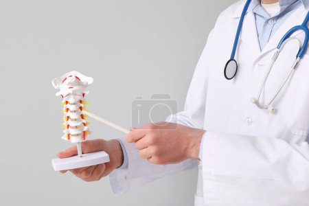 Médico varón demostrando anatomía espinal con modelo de columna vertebral sobre fondo gris