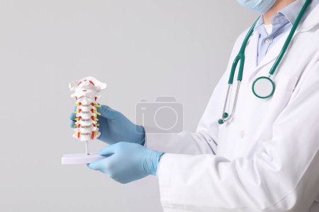 Foto de Médico masculino sosteniendo modelo de columna vertebral sobre fondo gris - Imagen libre de derechos