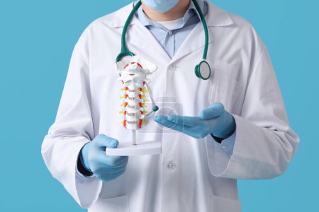 Foto de Médico varón mostrando modelo de columna vertebral sobre fondo azul - Imagen libre de derechos