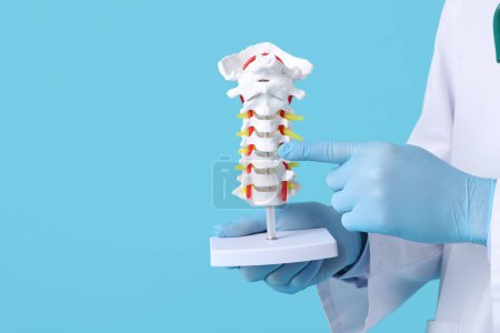 Foto de Médico varón demostrando anatomía espinal con modelo de columna vertebral sobre fondo azul - Imagen libre de derechos