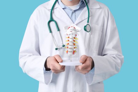 Foto de Médico masculino sosteniendo modelo de columna vertebral sobre fondo azul - Imagen libre de derechos
