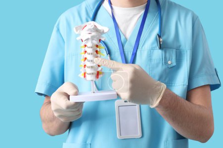 Male doctor demonstrating spinal anatomy with vertebral column model on blue background
