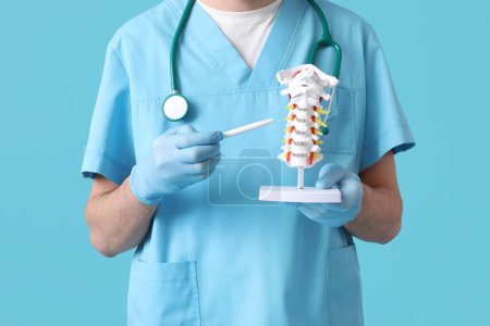 Médico varón demostrando anatomía espinal con modelo de columna vertebral sobre fondo azul