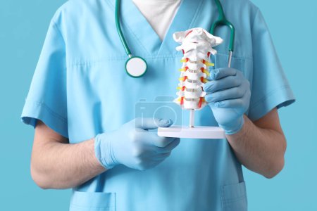 Foto de Médico masculino sosteniendo modelo de columna vertebral sobre fondo azul - Imagen libre de derechos