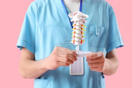 Médico masculino sosteniendo modelo de columna vertebral sobre fondo rosa