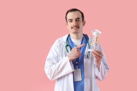 Médico masculino apuntando al modelo de columna vertebral sobre fondo rosa