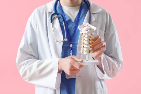 Téléchargez les photos : Homme médecin tenant modèle colonne vertébrale sur fond rose - en image libre de droit