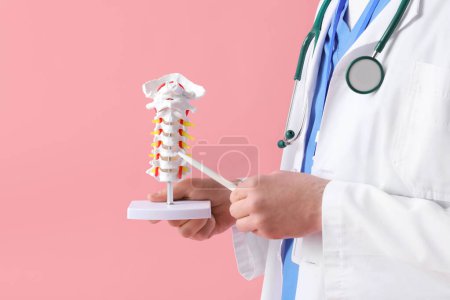 Médico varón demostrando anatomía espinal con modelo de columna vertebral sobre fondo rosa