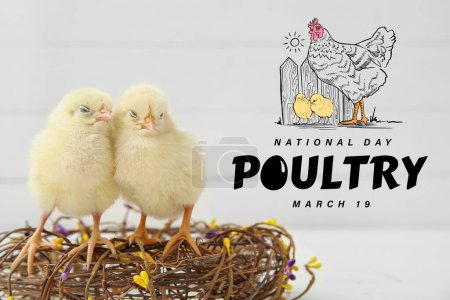 Bannière pour la Journée nationale de la volaille avec des poussins mignons
