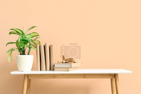 Foto de Libros con avión de madera y planta de interior en la mesa cerca de la pared beige - Imagen libre de derechos