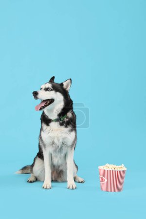Adorable Husky dog with bucket of popcorn on blue background