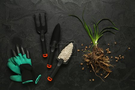 Téléchargez les photos : Outils de jardinage avec engrais granulaire et plante dans le sol sur fond noir - en image libre de droit