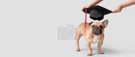 Besitzerin setzt Graduiertenmütze auf niedlichen Hundekopf vor hellem Hintergrund mit Platz für Text