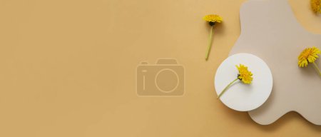 Photo for Decorative podiums with dandelion flowers on orange background with space for text - Royalty Free Image