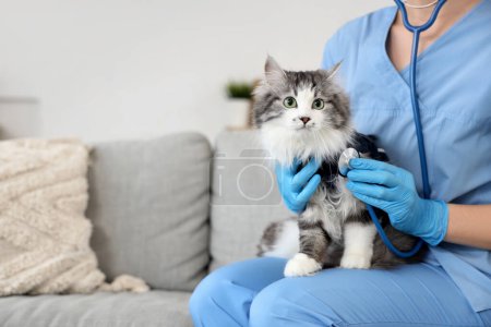 Foto de Veterinaria femenina con estetoscopio y gato lindo después de la esterilización en la clínica veterinaria - Imagen libre de derechos