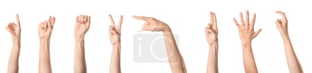 Jeu de mains utilisant le langage des signes sur fond blanc