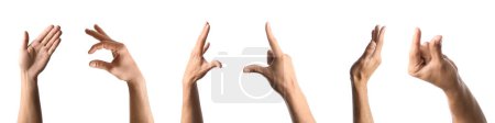 Conjunto de manos usando lenguaje de señas sobre fondo blanco
