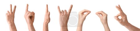 Conjunto de manos usando lenguaje de señas sobre fondo blanco