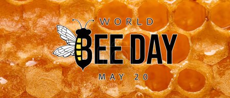 Bannière pour la Journée mondiale des abeilles avec nids d'abeilles