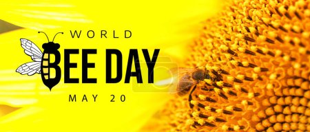 Téléchargez les photos : Abeille assise sur le tournesol, gros plan. Bannière pour la Journée mondiale de l'abeille - en image libre de droit