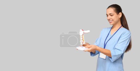 Foto de Retrato de mujer osteópata sosteniendo el modelo de columna vertebral sobre fondo gris con espacio para texto - Imagen libre de derechos
