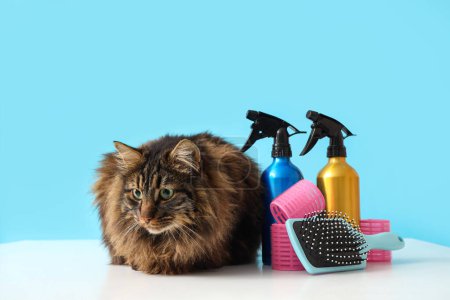 Cute cat with hairdresser's supplies against color background