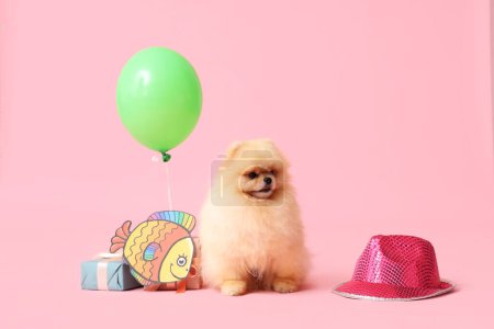 Foto de Lindo perro Pomeranian Spitz con peces de papel, sombrero, cajas de regalo y globo aerostático sobre fondo rosa. Día de los tontos de abril - Imagen libre de derechos