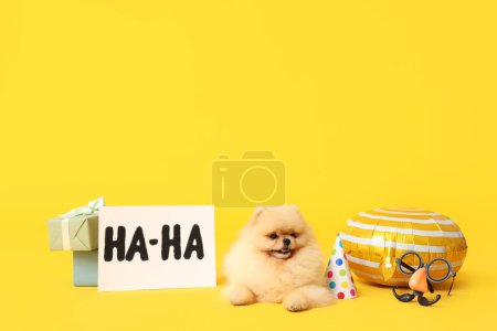 Cute Pomeranian Spitz dog, card with text HA-HA, gift boxes, party hat and funny disguise for April Fools day celebration on yellow background