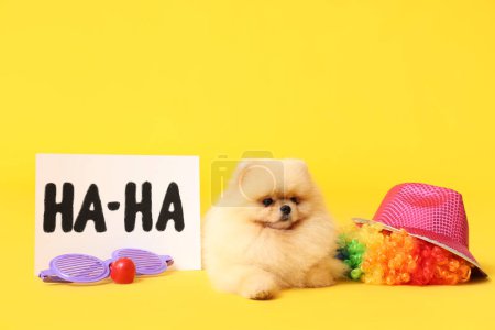 Mignon chien Poméranie Spitz, carte avec texte HA-HA et drôle de déguisement pour Avril Fête des fous sur fond jaune