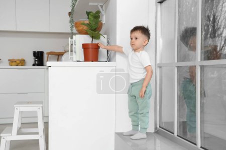 Little boy on windowsill taking plant from high counter in kitchen. Child at risk