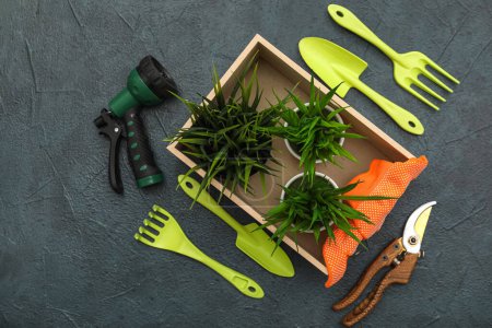 Photo for Gardening tools and plants on black background. Top view - Royalty Free Image